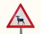 Mouflon - Warning Sign