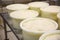 Moulds with pressed curd on table at cheese factory