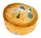 Mouldy Meat Pie