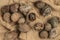 Mouldy unpleasant walnuts as a background