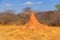 Mound-building termites. Waterberg Plateau National Park, Namibia