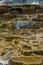 Mound Spring in the Mammoth Hot Springs Area