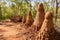 mounds of different sizes showing termite growth