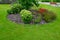 Mounds with perennial beds of fila and red colors on the lawn. if the flowers are in circles on the hills, they stand out better.