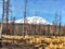 Mount Adams from Cougar Creek Fire