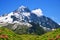 Mount Aiguille Verte with blooming Alpine Rose. Graian Alps, France, Europe.