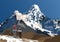 Mount Ama Dablam with two hikers, mountain vector illustration