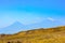 Mount Ararat and beautiful landscape with yellow fields