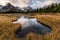 Mount Assiniboine reflection in pond on golden meadow in provincial park