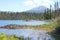 Mount Bachelor from Elk Lake