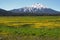 Mount Bachelor from Sparks Lake