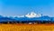 Mount Baker from Glen Valley near Abbotsford BC Canada