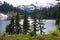 Mount Baker national forest