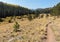 Mount Baldy Wilderness Trail, Arizona