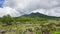 Mount Batur View , Kintamani, Bali, Indonesia. Green scenery of Mount Batur