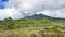 Mount Batur View , Kintamani, Bali, Indonesia. Green scenery of Mount Batur