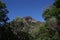 Mount Beerwah