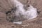 Mount Bromo smoke coming out of main crater, Java Indonesia