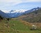 Mount Cook over a grassy plain