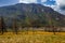 Mount Crandell Waterton Lakes National Park Alberta Canada