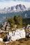 Mount Cristallo gruppe, Alps Dolomites mountains, Italy