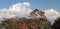 Mount Dhaulagiri and red rhododendrons