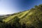 Mount Diablo state park in summer