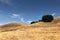 Mount Diablo State Park in Walnut Creek in California