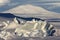 Mount Erebus, Antarctica