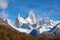 The Mount Fitzroy seen from the Laguna Capri, National Park de los Glaciares, Argentina