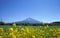 Mount Fuji