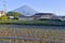 Mount Fuji as viewed from rural town in Japan