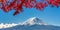 Mount Fuji in Autumn Color, Japan