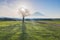 Mount Fuji with beam of light through dried tree in the morning