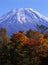 Mount Fuji in Fall VIII