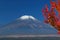 Mount Fuji in falll