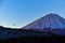 Mount fuji with flying bird