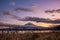 Mount Fuji with grass flowers in foreground with twilight sky