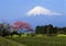 Mount Fuji I