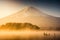 Mount Fuji at Kawaguchiko Japan on sunrise.