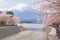 Mount Fuji from lake Kawaguchiko with cherry blossom in Yamanashi, Japan