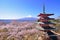 Mount Fuji and pagoda with cherry blossoms in Arakurayama Sengen Park