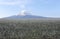 Mount Fuji and pineapple plantations.