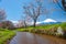 Mount Fuji, sakura trees and streams During the day with a clear sky in a rural area in Yamanashi prefecture