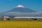 Mount Fuji and Shinkansen bullet train