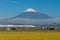 Mount Fuji and Shinkansen bullet train