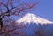 Mount Fuji XXIII
