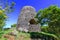 Mount Healthy National Park Tortola