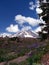 Mount Hood Above Timberline Lodge Oregon