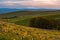 Mount Hood catching sunset light and wild flowers filed in Columbia hills state park, WA